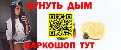 гидропоника Нальчик