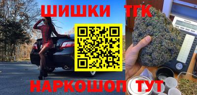 шишки Новодвинск